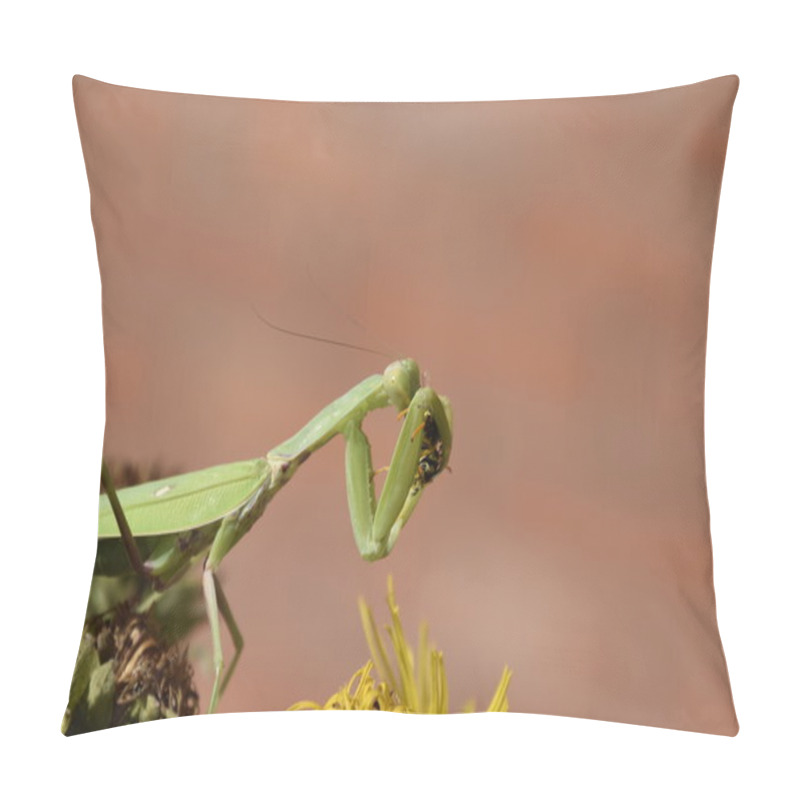 Personality  The Female Praying Mantis Devouring Wasp. The Female Mantis Religios. Predatory Insects. Huge Green Female Mantis. Pillow Covers