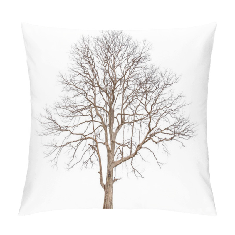 Personality  Single Old Big And Dead Tree Dead Isolated On White Background. Pillow Covers