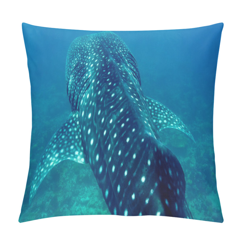 Personality  Whale Shark Swimming  In Crystal Clear Blue Waters At Maldives Pillow Covers