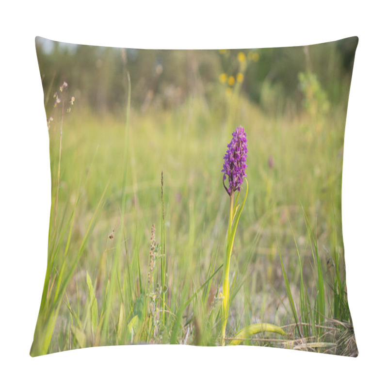 Personality  Close-up Of Purple Orchid, Dactylorhiza Incarnata. Purple Early Marsh - Orchid Blossom, Dactylorhiza Incarnata. Blooming Flower In A Natural Environment. Pillow Covers