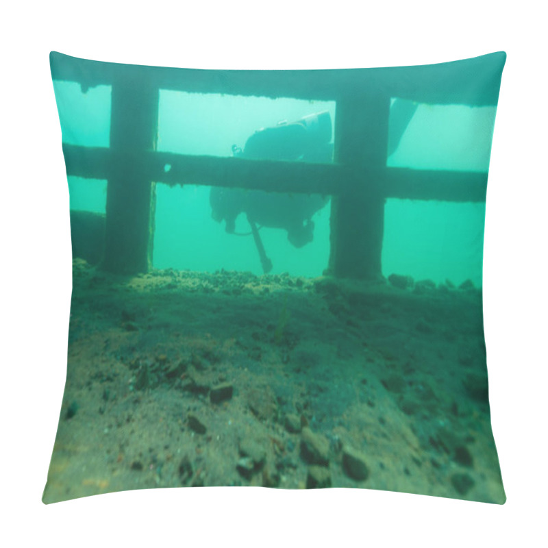 Personality  The Bermuda Shipwreck In The Alger Underwater Preserve In Lake Superior Pillow Covers