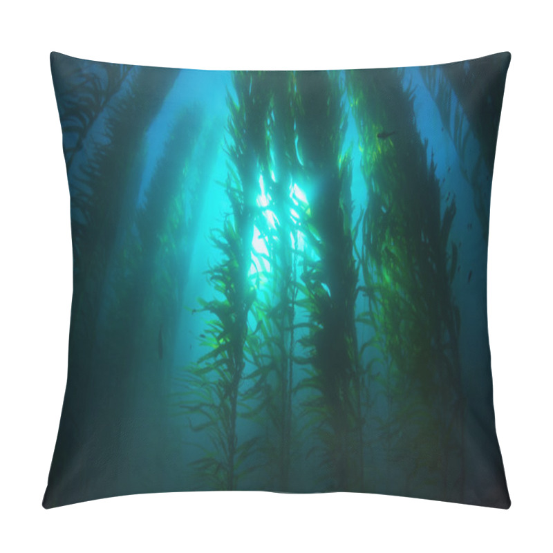 Personality  Kelp Bed Pillow Covers