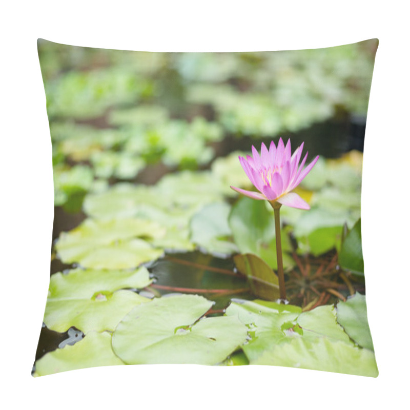 Personality  Pink Water Lilies Pillow Covers