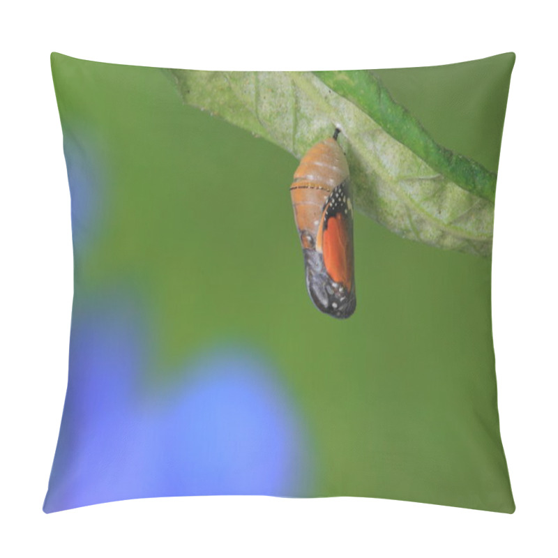 Personality  Amazing Moment About A Butterfly Pillow Covers