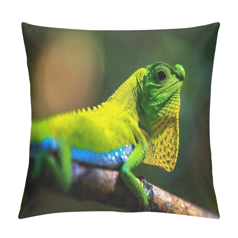 Personality  Chameleon In A Natural Environment In The Forest Of Sri Lanka Pillow Covers