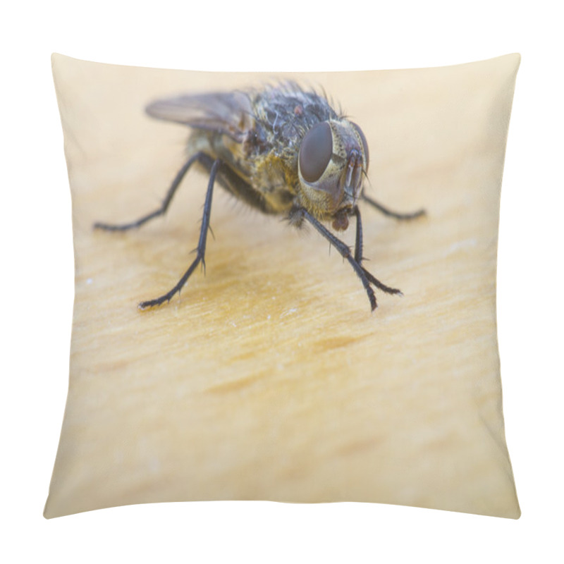 Personality  Close Up Of A House Fly Pillow Covers