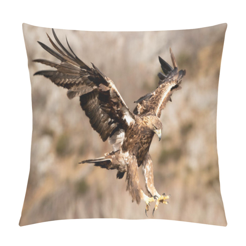 Personality  Adult Male Golden Eagle Flying With The First Light Of The Day In A Mountainous Area Of His Territory Pillow Covers