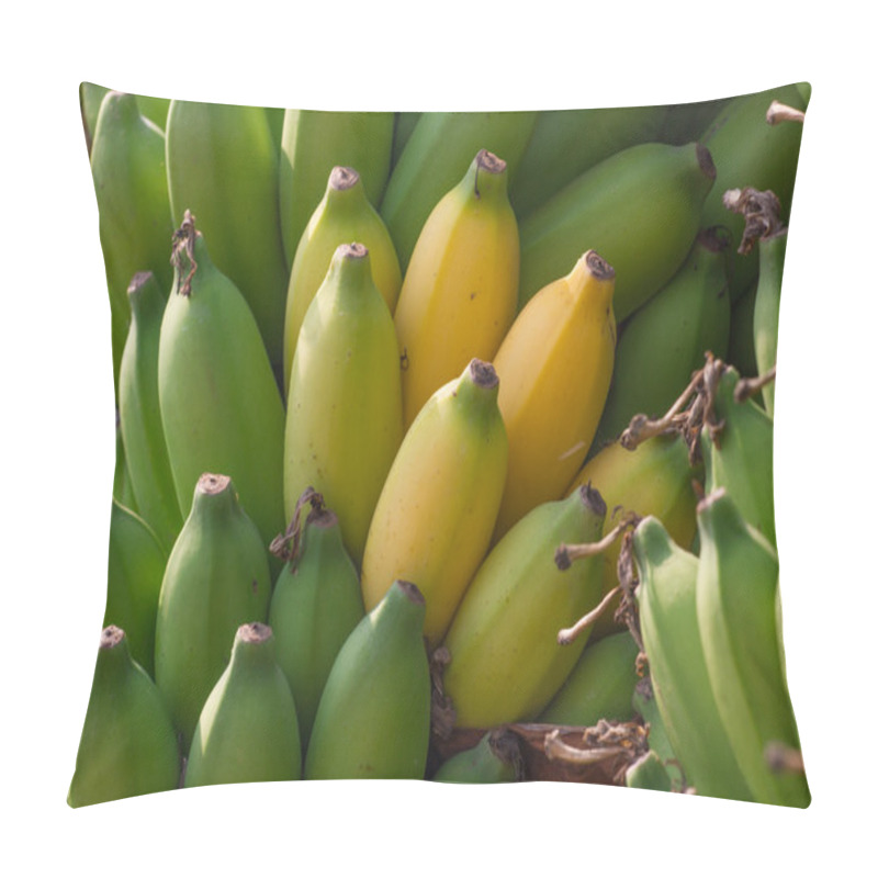 Personality  Bunch Of Bananas On A Banana Plantation In India. Bananas On A B Pillow Covers