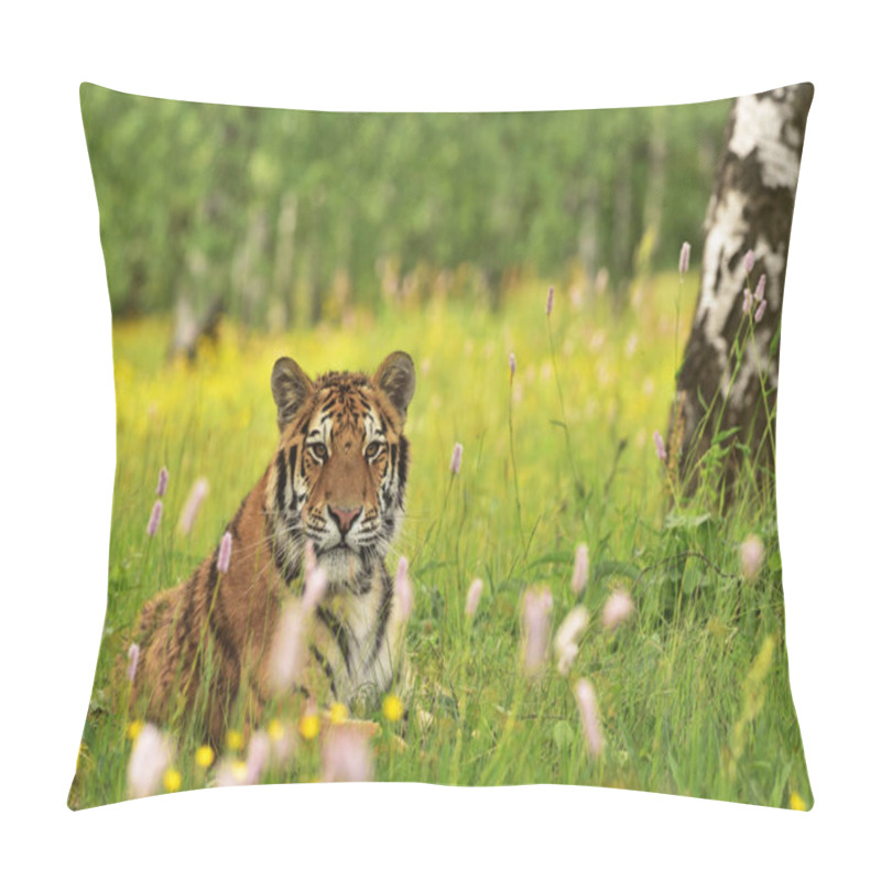 Personality  The Siberian Tiger (Amur Tiger - Panthera Tigris Altaica) In His Natural Environment In Beautiful Country In The Meadow Pillow Covers