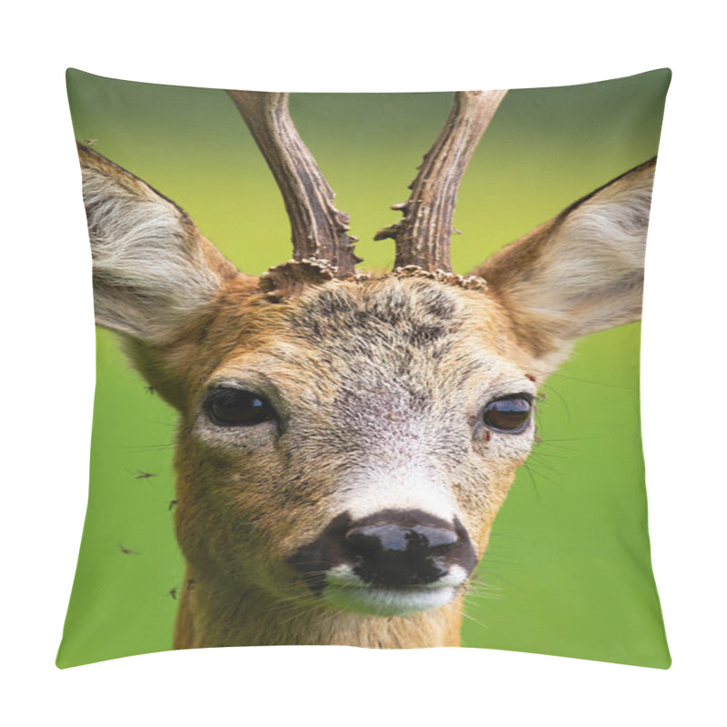 Personality  Flock Of Mosquitoes Stinging Roe Deer Buck In Nature In Summer. Pillow Covers