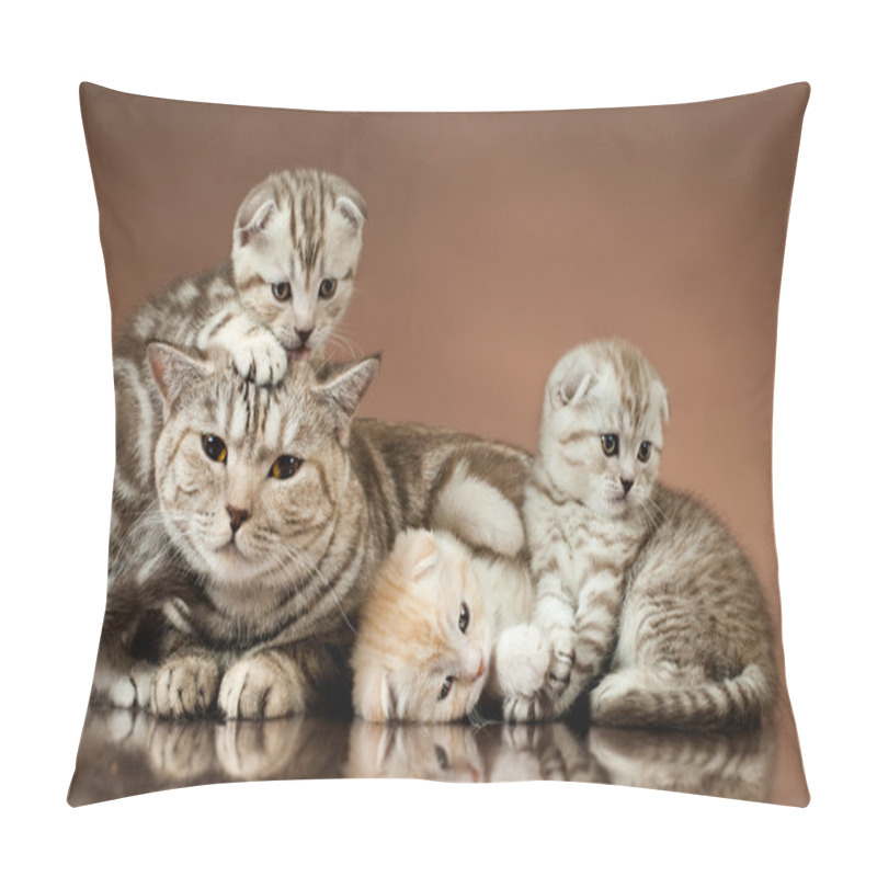 Personality  Kittens Pillow Covers