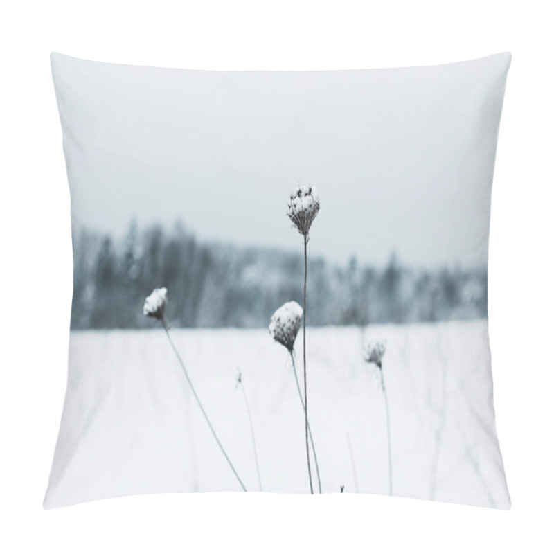 Personality  Selective Focus Of Dry Field Flowers Covered With Snow Pillow Covers