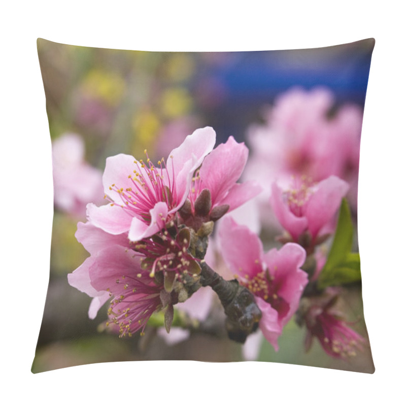 Personality  Pink Peach Blossom Macro Sichuan China Pillow Covers