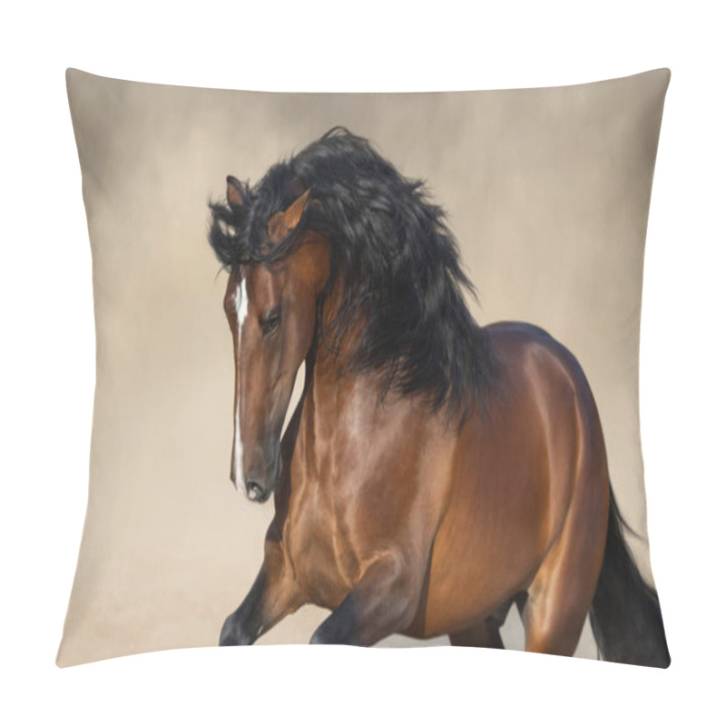 Personality  Purebred Andalusian Horse Playing On Sand In Paddock In Dust. Pillow Covers