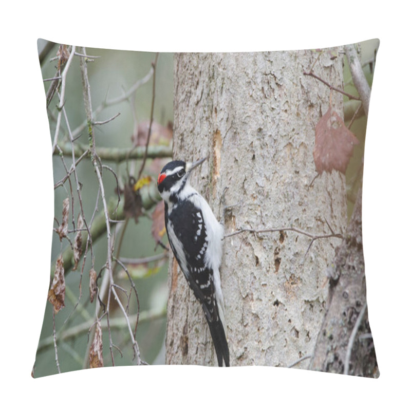 Personality  A Male Hairy Woodpecker (Dryobates Villosus) Pecking A Tree In Search Of Insects To Eat Pillow Covers