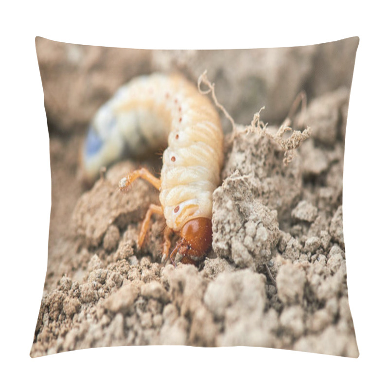 Personality  The Larvae Of The May Beetle Pillow Covers