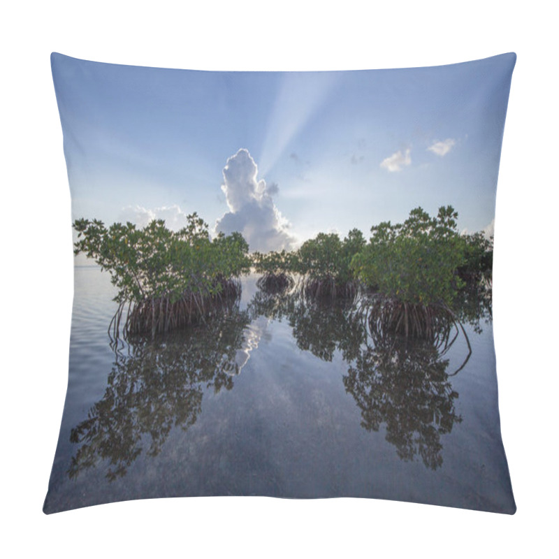 Personality  Sun Rays Behind Mangroves In Biscayne National Park, Florida. Pillow Covers