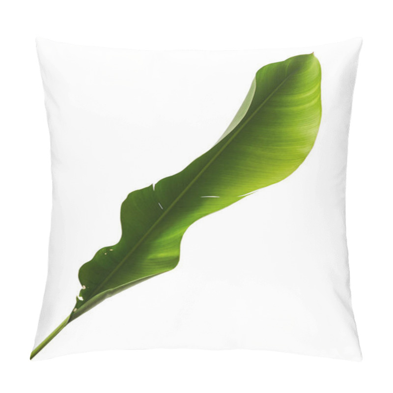 Personality  Strelitzia Reginae, Heliconia, Bird Of Paradise Foliage Isolated On White Background, With Clipping Path Pillow Covers