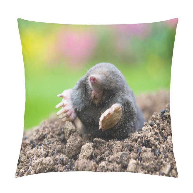 Personality  European Mole Crawling Out Of Molehill Above Ground, Showing Strong Front Feet Used For Digging Underground Tunnels Pillow Covers