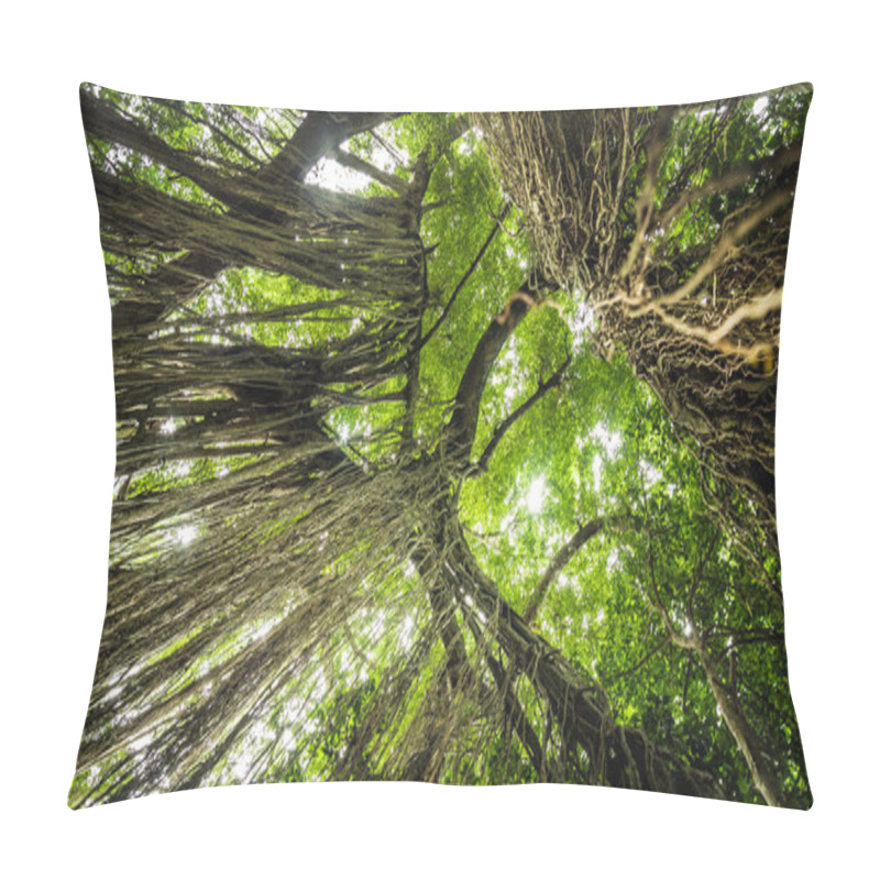 Personality  Tropical Jungle Roots Hanging Down From The Huge Tree At The Sacred Monkey Forest Sanctuary, Ubud, Bali, Indonesia Pillow Covers