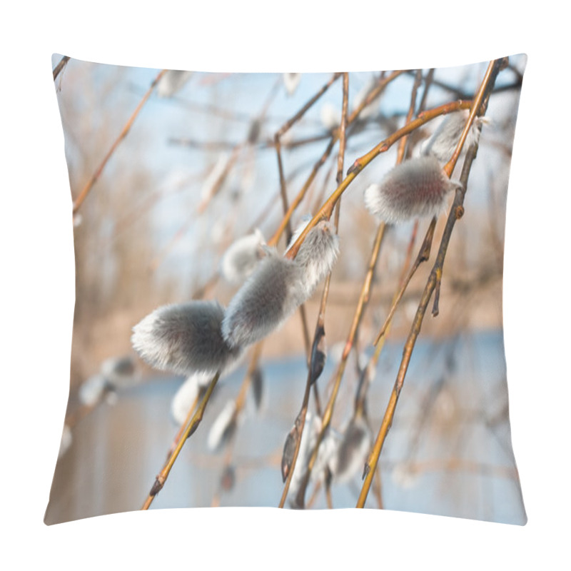 Personality  Spring Pillow Covers