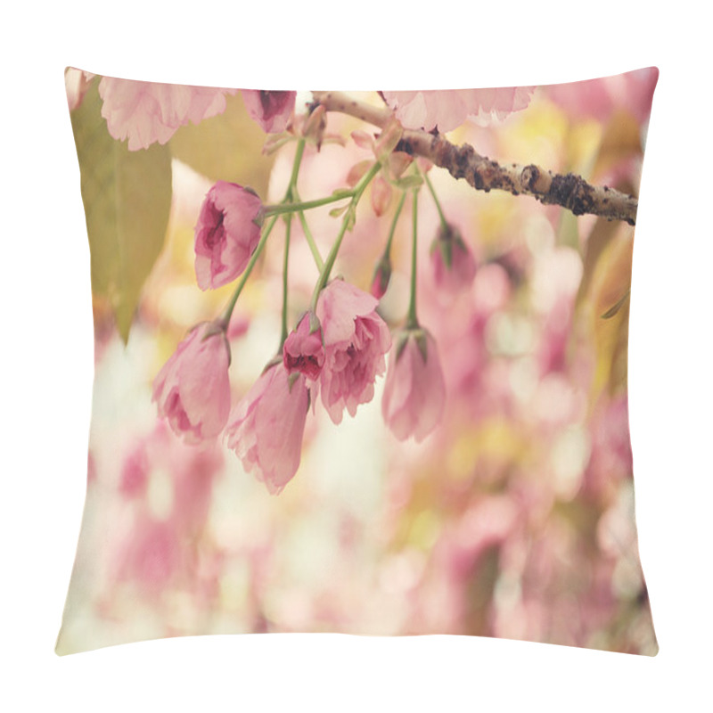 Personality  Cherry Blossom In April Pillow Covers