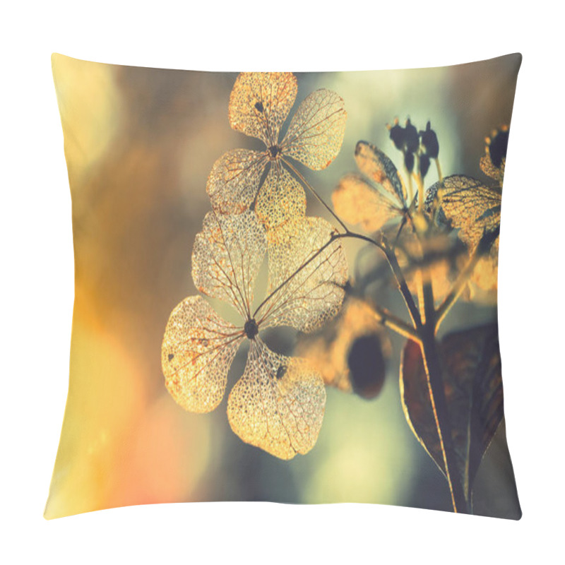 Personality  Texture On Dry Hydrangea Flowers With Beautiful Sun Light Pillow Covers