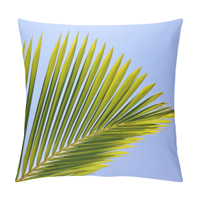 Personality  Palm Leaf Viewed Against Bright Sunlight On Sky Background Pillow Covers