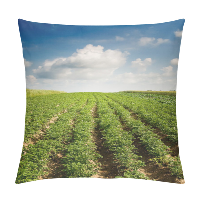 Personality  Landscape Of Potato Plantation. Pillow Covers