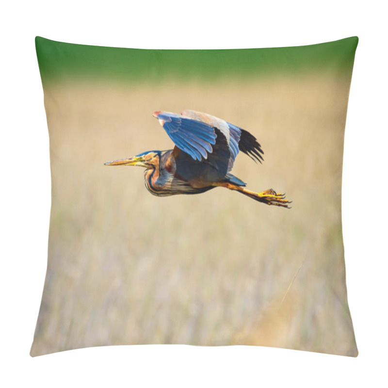 Personality  Flying Heron. Yellow Nature Background. Bird: Purple Heron. Ardea Purpurea. Pillow Covers