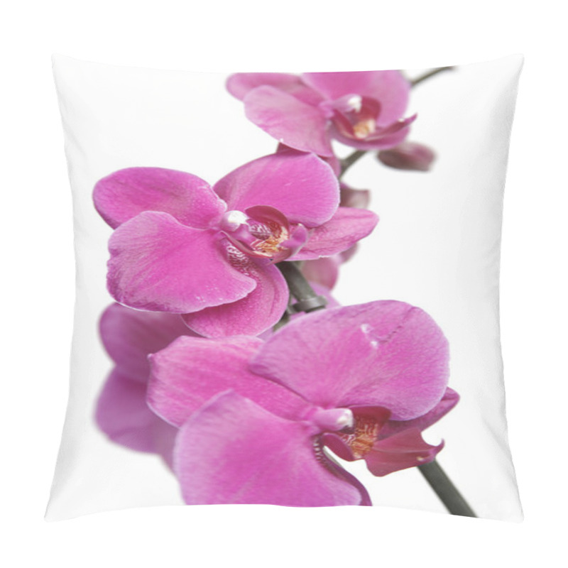 Personality  Purple Orchids Pillow Covers