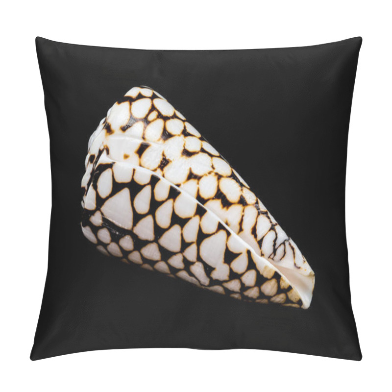 Personality  A Striking Close-up Of The Conus Marmoreus Shell, Showcasing Its Intricate Black-and-white Marbled Pattern On A Smooth Surface, Isolated Against A Sleek Black Background Pillow Covers