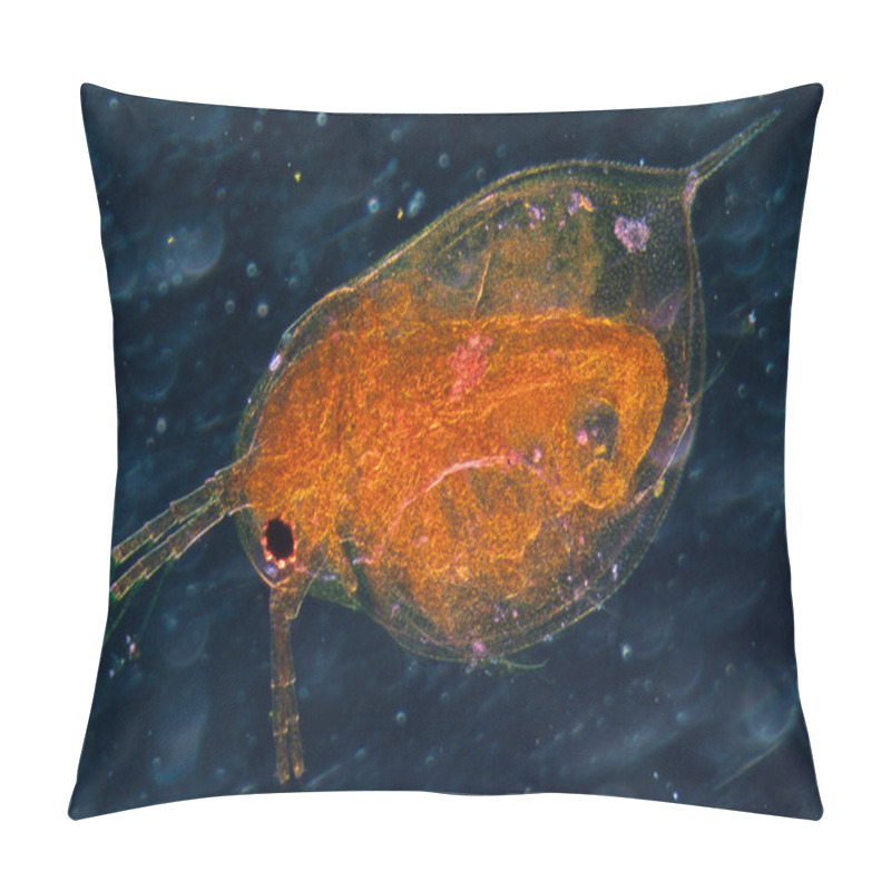 Personality  Animal Water Flea Pillow Covers