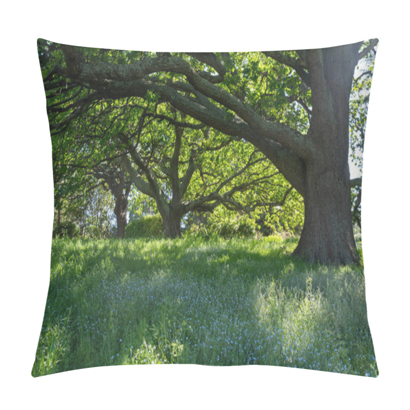 Personality  Trees In A Meadow On A Farm In A Country Estate On A Farm In Spring Pillow Covers