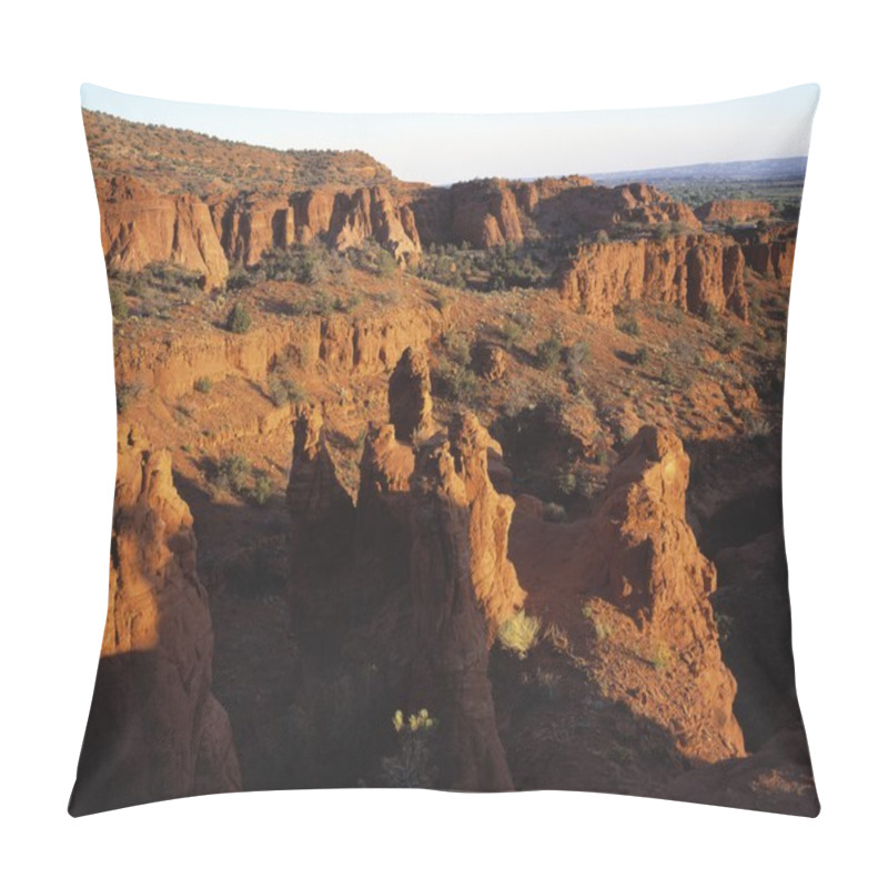 Personality  Sandstone Formations Pillow Covers