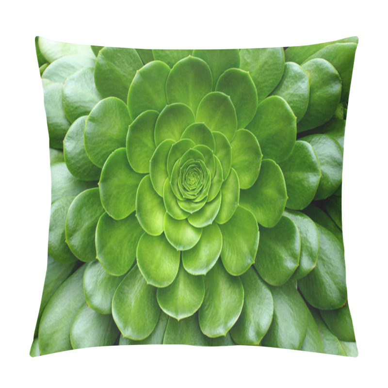 Personality  Abstract Background Showcasing Symmetrical Beauty Of A Succulent's Rosette Pattern With Lush Green Leaves Pillow Covers