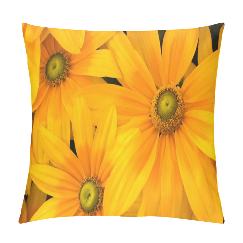 Personality  Green-eyed Susans Pillow Covers