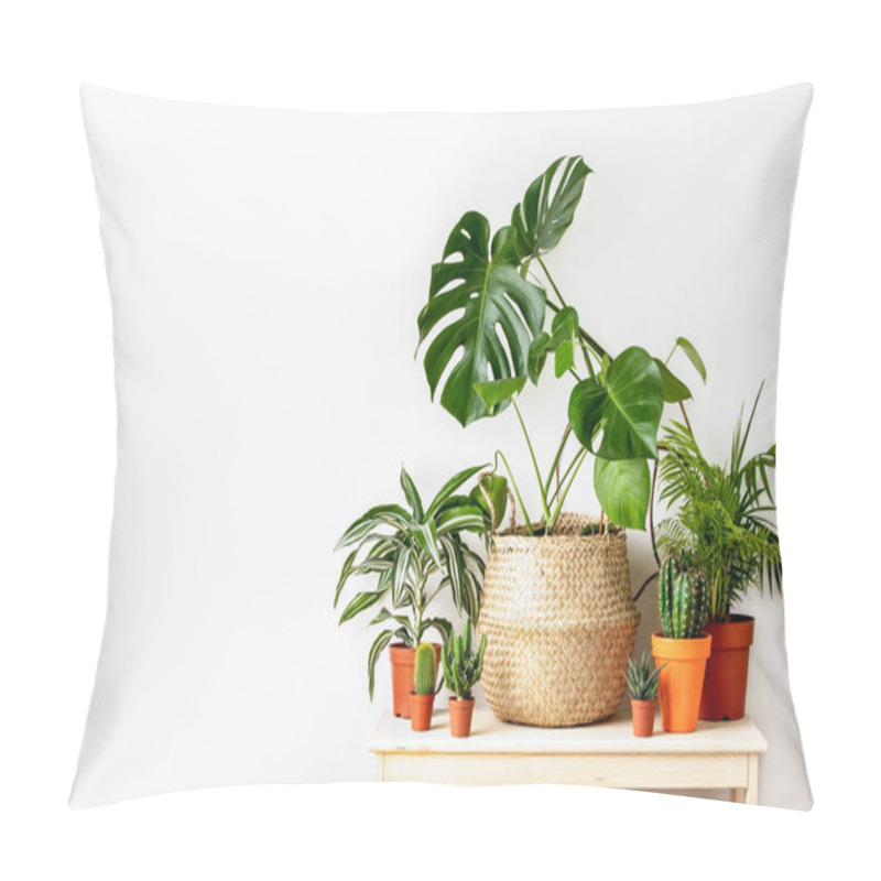 Personality  Potted Home Plants Front View, Home Gardening Concept Pillow Covers