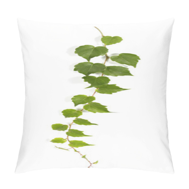 Personality  Bindweed Pillow Covers