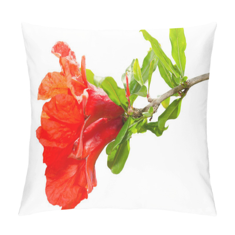 Personality  Isolated Pomegranate Spring Blossom Red Flowers Pillow Covers