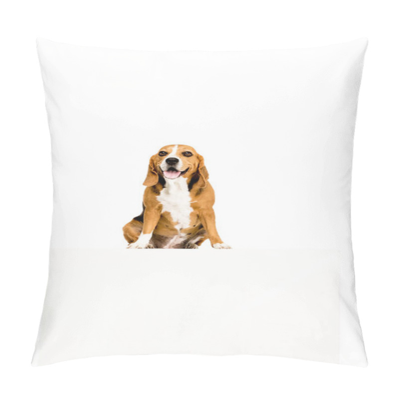 Personality  Dog With Empty Blank  Pillow Covers