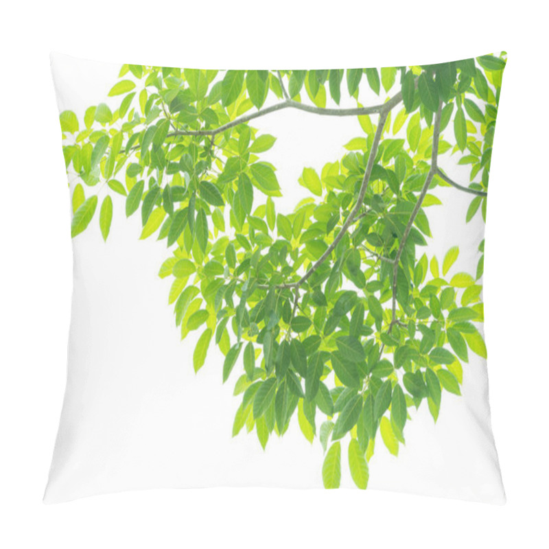 Personality  Green Leaves Isolated On White Background Pillow Covers