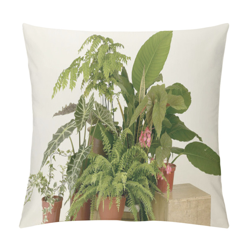 Personality  Plants Pillow Covers