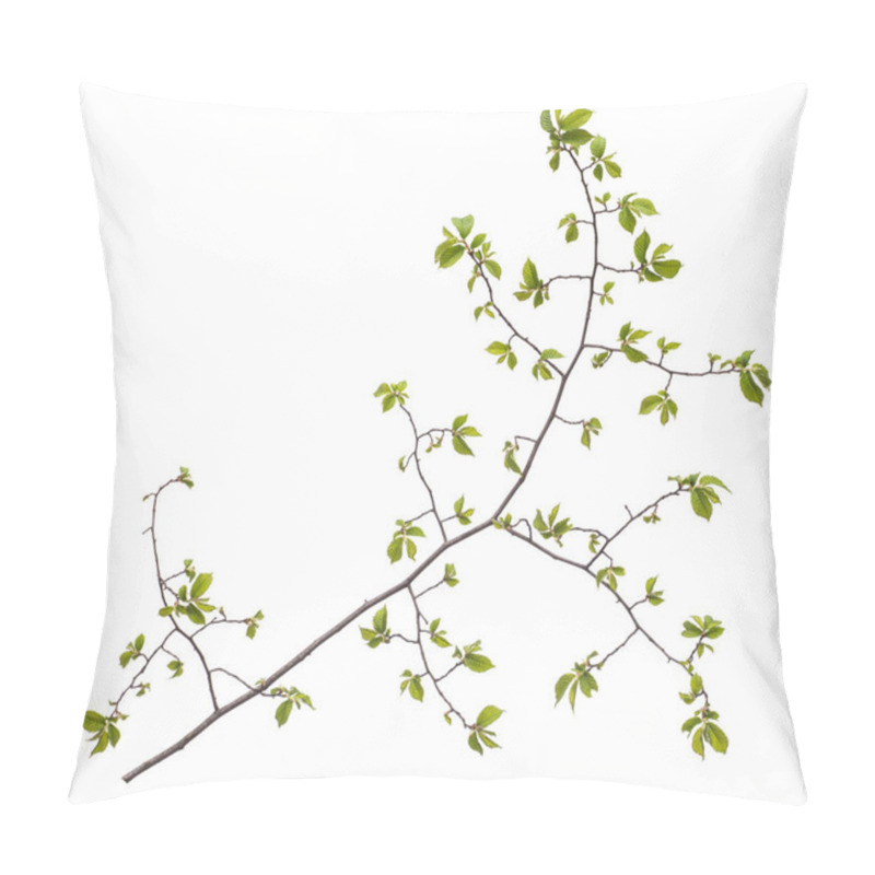 Personality  Spring Branch With Leaves On White Background Pillow Covers