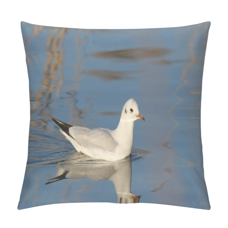 Personality  Black-headed Gull - (Chroicocephalus Ridibundus)  Pillow Covers