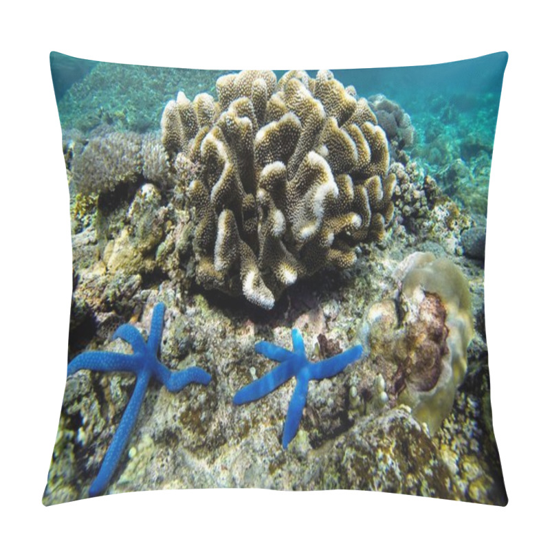 Personality  Blue Starfishes Pillow Covers