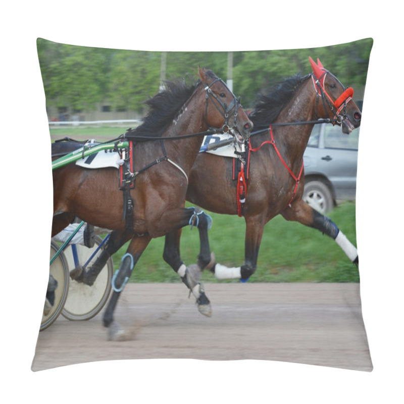 Personality  Two Horses Trotter Breed On The Move At Speeds  Pillow Covers