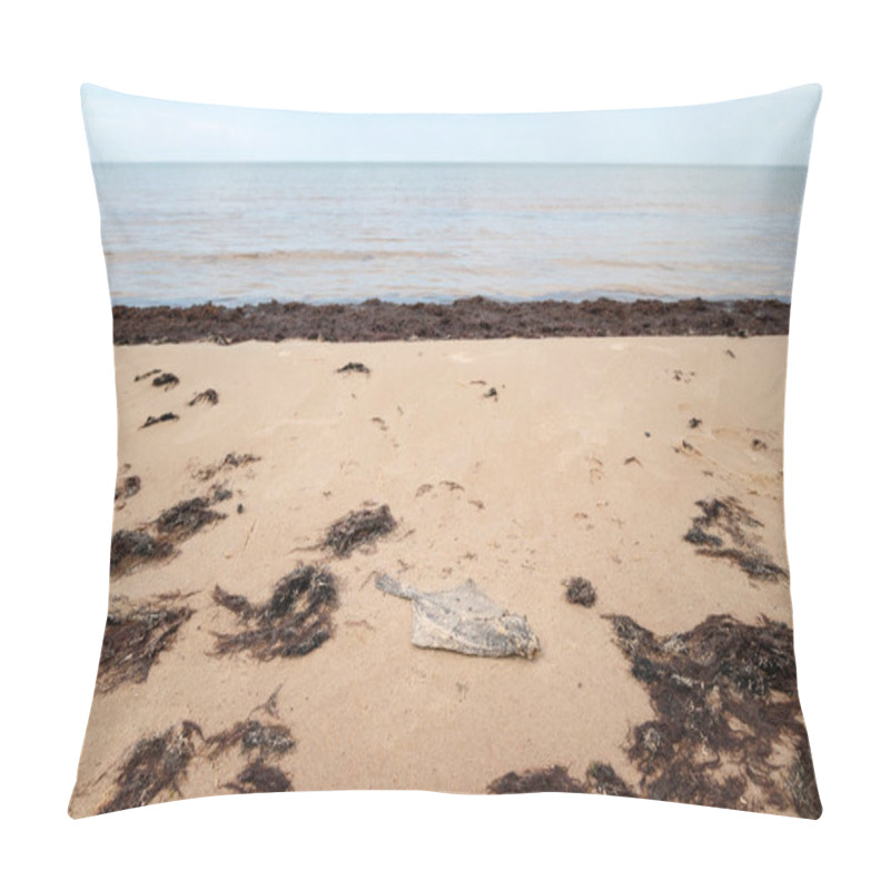 Personality  Dead Flatfish On The Sand At The Sea Shore. Water Pollution, Environmental Disaster. Dead Fish By The Coast Line. Pillow Covers