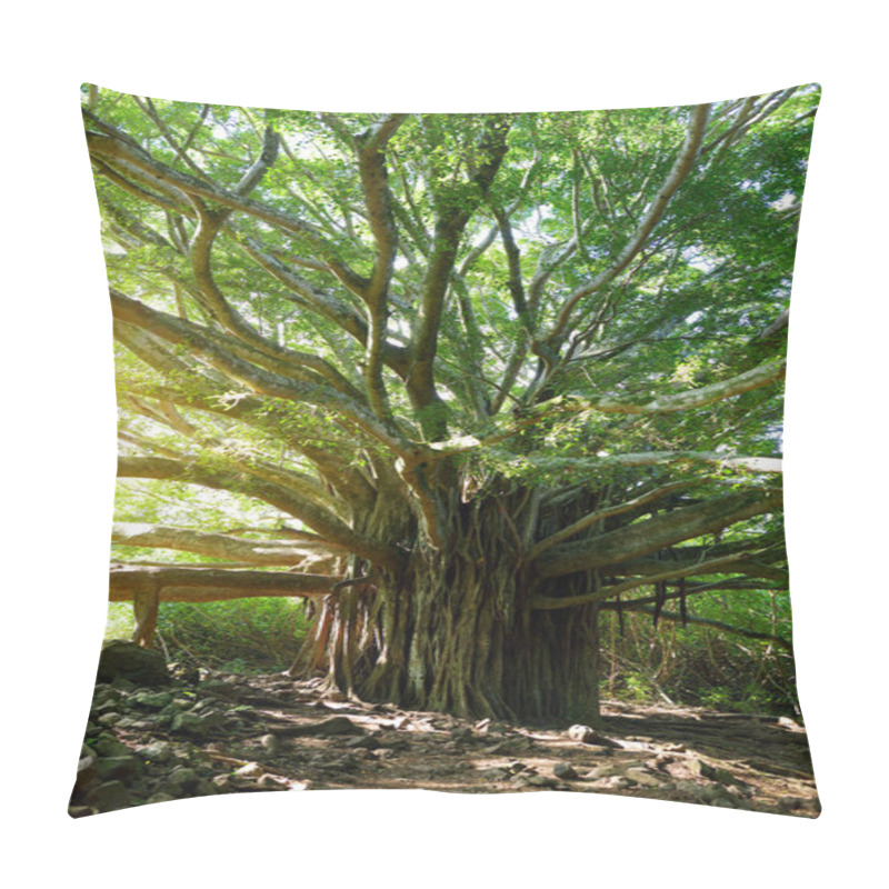 Personality  Branches And Hanging Roots Of Giant Banyan Tree Growing On Pipiwai Trail On Maui, Hawaii, USA Pillow Covers