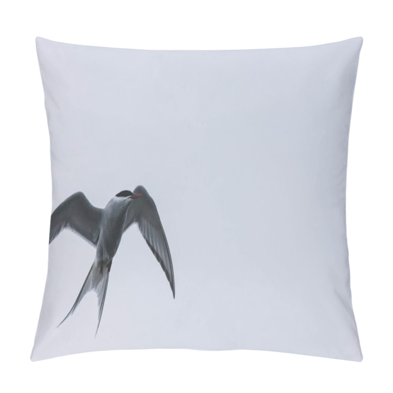 Personality  Tern Pillow Covers